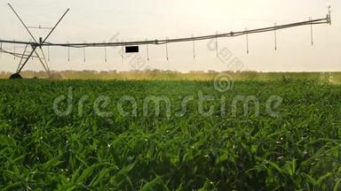 农场灌溉浇水运动.
